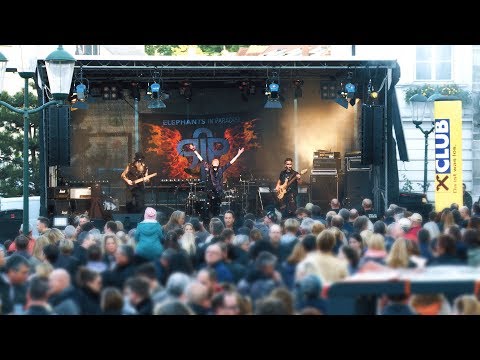 Elephants in Paradise - LIVE Snippet of BURG ROCK FESTIVAL