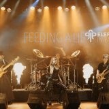 Elephants in Paradise - Feeding a Lie